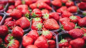 У господарствах країни ягода піднялася в ціні в середньому на 39%