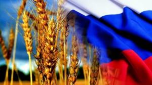 Зараз для української пшениці у ЄС взагалі немає імпортного тарифу
