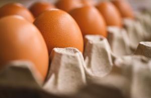 Імпорт яєць з України досяг ліміту на постачання до Європейського Союзу,