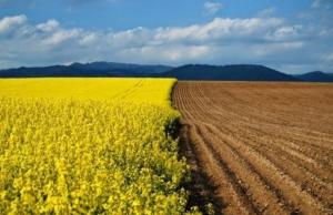 Ціни купівлі-продажу відновили зростання після незначного спаду у травні-червні