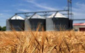 Показник сягає 58% усього експорту країни за місяць