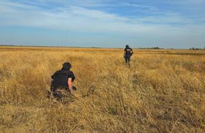 Посилено відповідальність сільськогосподарського товаровиробника щодо строку відкриття рахунку 