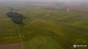 Орендна плата на землю в Україні зростатиме щороку в доларовому еквіваленті на 5%