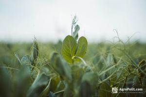 Сільські ради торгують своїми землями і отримують орендну плату сьогодні 11 – 15 тис. грн 