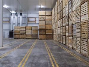 Через війну знищено багато овочесховищ, втрачено 281 тис. т одночасного зберігання