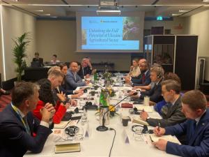 Стратегія розвитку галузі до 2030 року фокусується на ключових напрямах