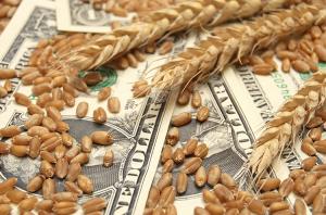 У сегменті аграрної сировини сильніше всього знизилися обсяги продажів кукурудзи (-25,6%) і пшениці (-15,2%). 