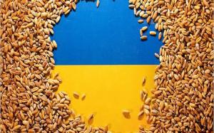 Завдяки підвищенню вартості агропродукції при менших обсягах торгівлі Україна тільки на експорті зерна заробила $8,1 млрд