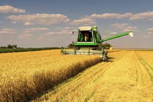 Всього буде 13 889 бюджетних місць для майбутніх аграріїв