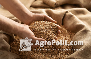 Україна скоротила обсяги продажів на зовні зернових нового врожаю 