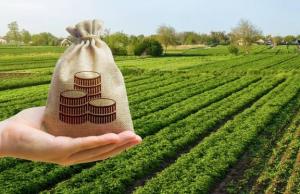 Власники землі та землекористувачі сплачують плату за землю