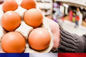 Кількість яєць, що імпортуються з України, порівняно невелика