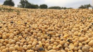 Вирішили підготувати проєкт постанови про урядовий експеримент