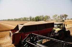 У переліку вже 14209 позицій від 162 українських виробників