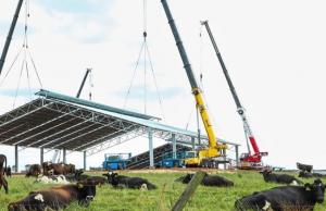 ДАР розпочинає прийом заявок на отримання часткової компенсації витрат на будівництво та реконструкцію ферм