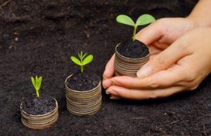 Найвища ціна за га – у західних регіонах