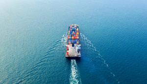 Українські виробники у 2025 році отримали доступ до ринків 11 нових експортних напрямків для поставок 17 різних груп агротоварів