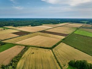 Тепер система формує один юридично значущий документ - електронний витяг