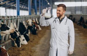 У вересні 2025 року частка підприємств у виробництві молока склала 45%