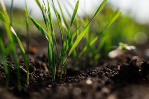 Швидкий старт свідчить про високий запит українських землевласників