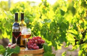 Заявки приймаються з 28 жовтня по 17 листопада 2025 року включно