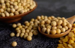 Ціни попиту на українську сою на умовах СРТ-порт зросли до 392 – 405 USD/т