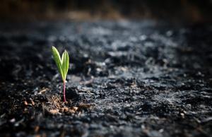 Землі зазнали найбільших руйнувань за обсягом шкоди, що виражається у трильйонах гривень