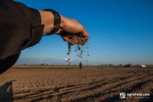 Великий міжнародний та український капітал активно купують українську землю