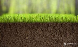 Ціна землі за 1 га збільшуватиметься в рік в середньому на 10%