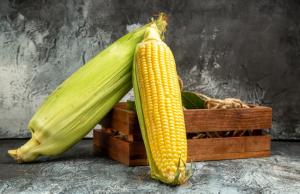 Загальний обсяг експорту склав близько 941 тис. тонн