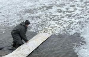 Вперше зарибнення зроблено за кошти спеціального фонду державного бюджету,