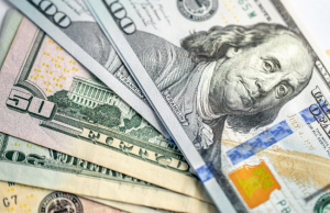 Важливою складовою проєкту є також кліматична стійкість