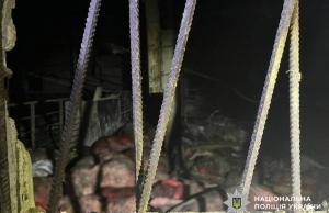 Чаус повідомив, що дрони вдарили по сільгосппідприємств