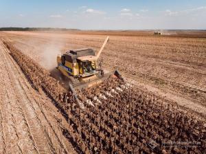 Загальний дефіцит овочесховищ нині перевищує 1 млн тонн