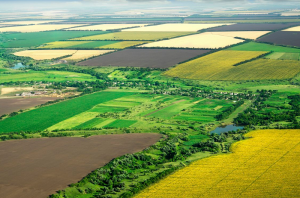 Зростання надходжень пояснюється підвищенням ставок місцевими радами