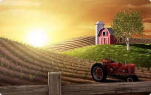 Проєкт змін оновлює нормативну базу Фонду