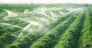 Основна мета законопроєкту – впровадження ефективних механізмів для захисту українських експортерів