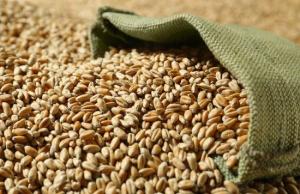 Агропідприємці у 7 областях отримали 615 модульних зерносховищ