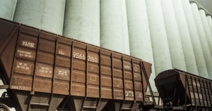 За 11 місяців 2025 року загалом перевезено 26 млн 445 тис. т зернових