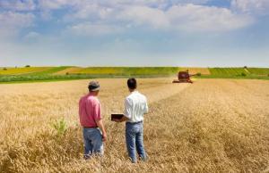 Сільгоспвиробники зможуть отримати кредити з частковим покриттям портфельними гарантіями