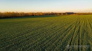 Загалом ціни на гектар землі по областях коливаються в середньому від 31480 до 189881 грн