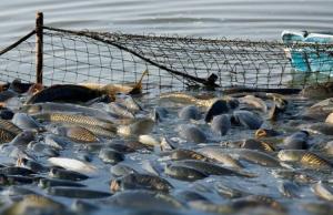 Постанову про старт експериментального проєкту Кабмін ухвалив 23 грудня 2025 року. 