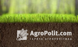 Ринок землі України сьогодні стикається із рядом судових справ про боротьбу за право безоплатної приватизації землі