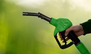 Україна потребує три мільйони тонн кукурузи для виробництва біоетанолу