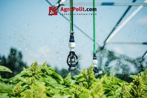 У чотирьох областях України під зрошенням опинилося 40 тис. га землі