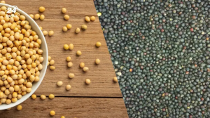 В уряді не бачуть потреби  стимулювати вирощування сої та ріпаку