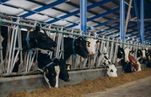 Держава відшкодувала до 25% вартості введених в експлуатацію ферм