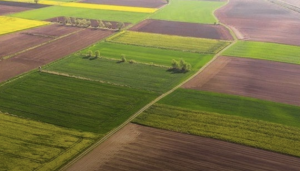 Запроваджено нові аналітичні сервіси, зокрема з аналізу землекористування, сівозмін і моніторингу посівів