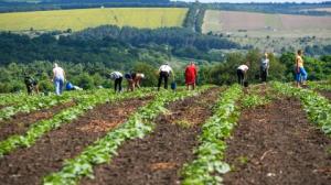 Поновлення договору передбачає продовження на той самий строк без письмового правочину,