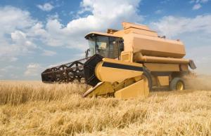 Аграрії входять у новий сезон із високою собівартістю вирощування сільськогосподарських культур